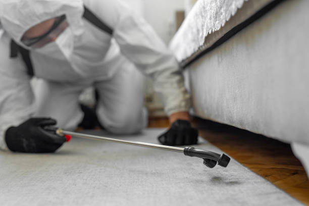 Professional Bed Bug Control technician working in Huachuca City, AZ