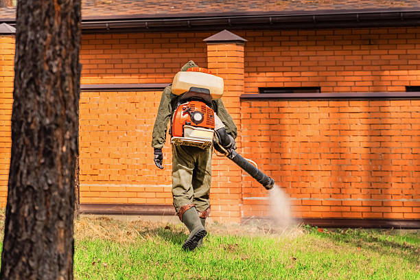 Trusted Termite Control service in Huachuca City, AZ - Nex Pest Control